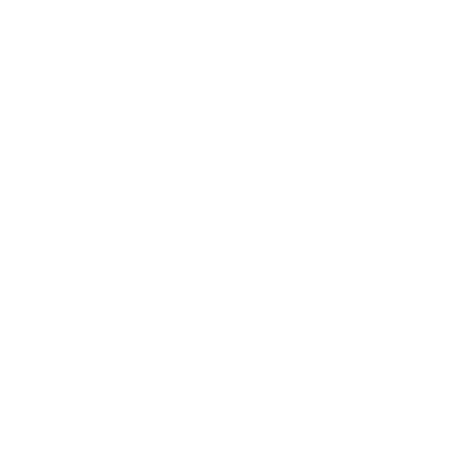 Al Borgo di Cerea 1964